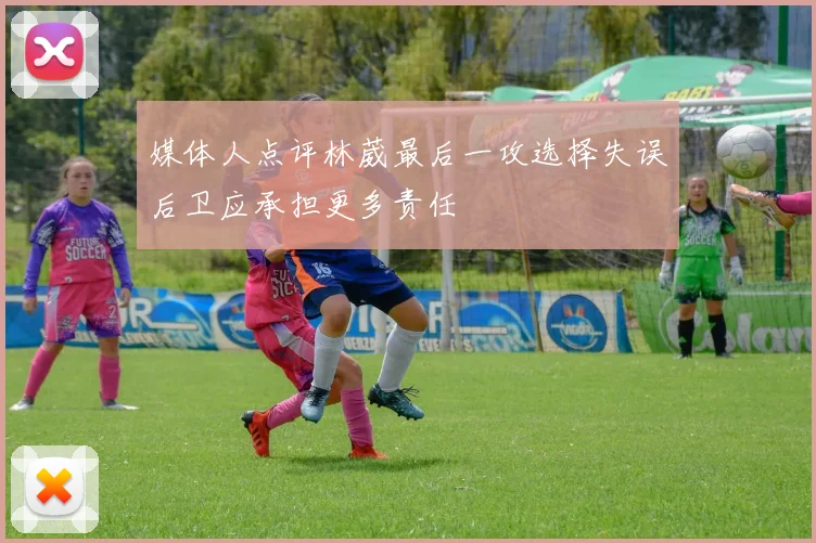 媒体人点评林葳最后一攻选择失误后卫应承担更多责任