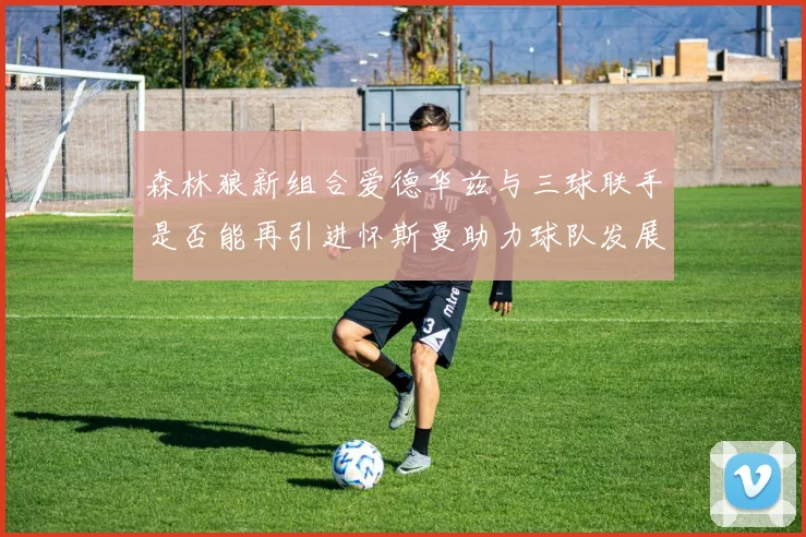 森林狼新组合爱德华兹与三球联手是否能再引进怀斯曼助力球队发展