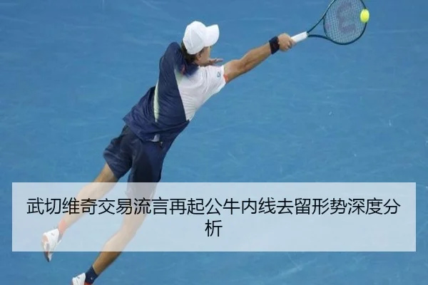 武切维奇交易流言再起公牛内线去留形势深度分析